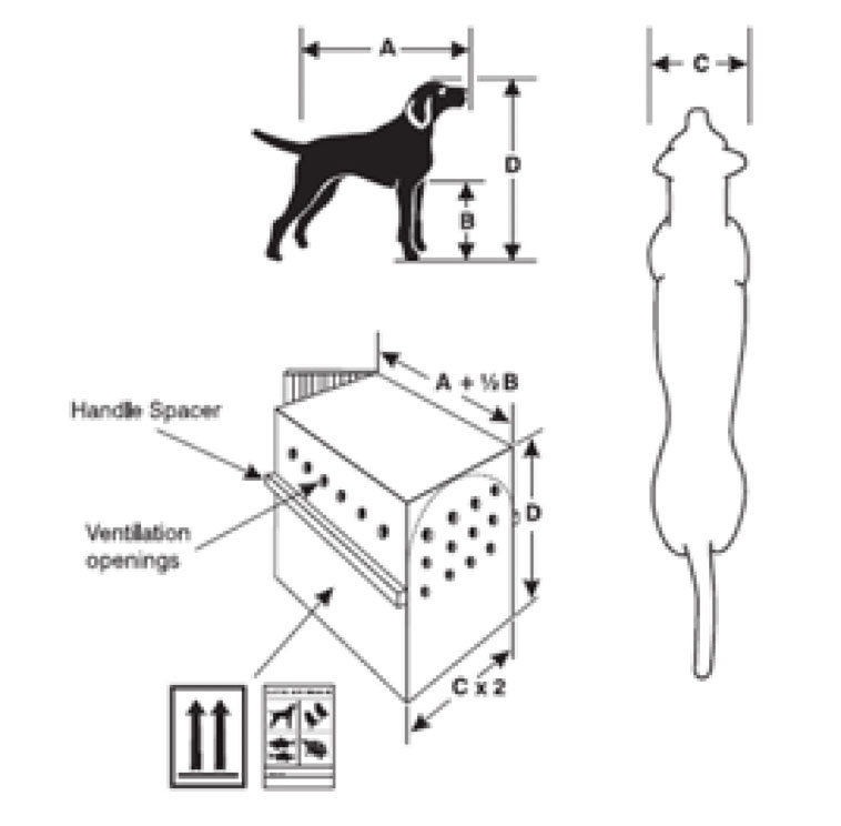 pet travel crate size